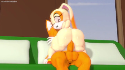 Cream riding Tails