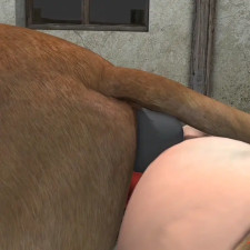 Dog knot session