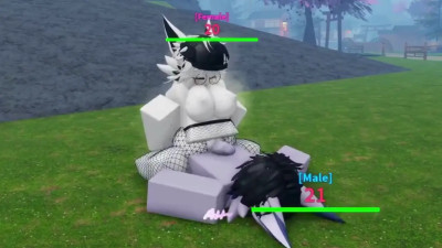 shark sex