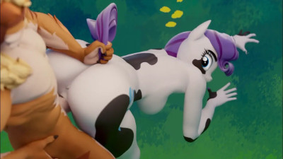 Rarity