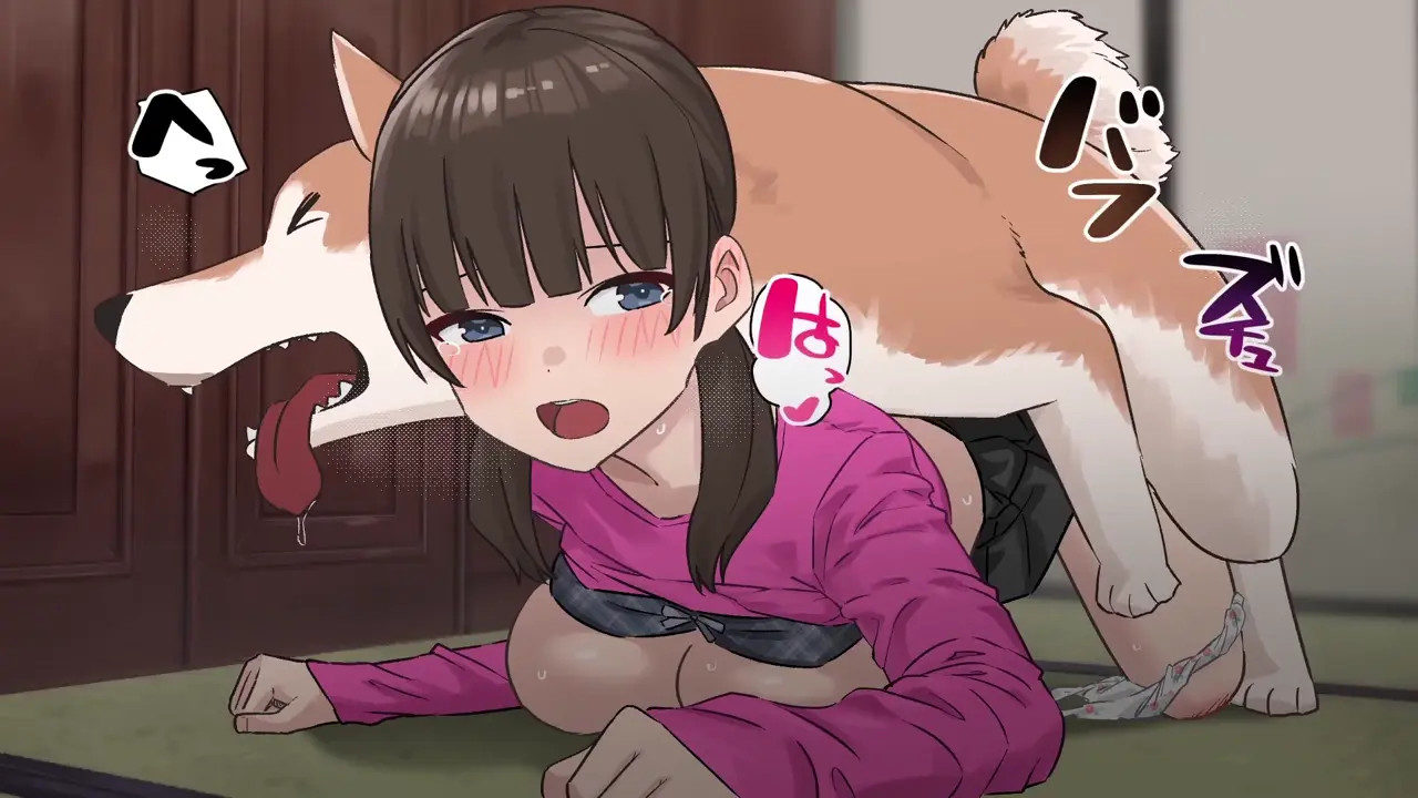 New Hentai: Paco-wan! Anime - Stream & Download HD | rule34tv.com