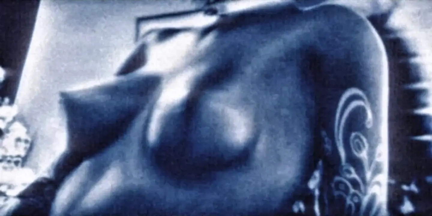 New Hentai: Lynx Edit - Stream & Download HD | rule34tv.com