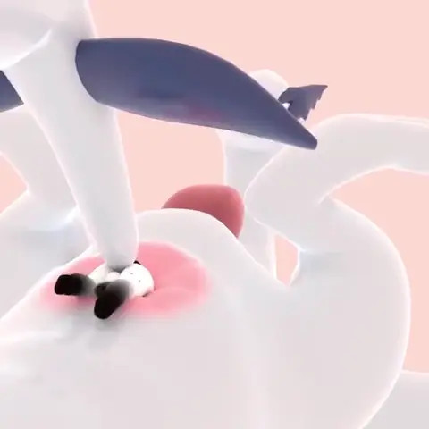 New Hentai: Anal vore by kriskawaii - Stream & Download HD | rule34tv.com