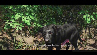 The first meeting with Barbas