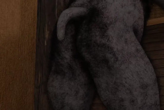 Anal vore by kpfoxpaw