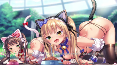 Saint Dorei Gakuen 2 - Himari＆Komari 4