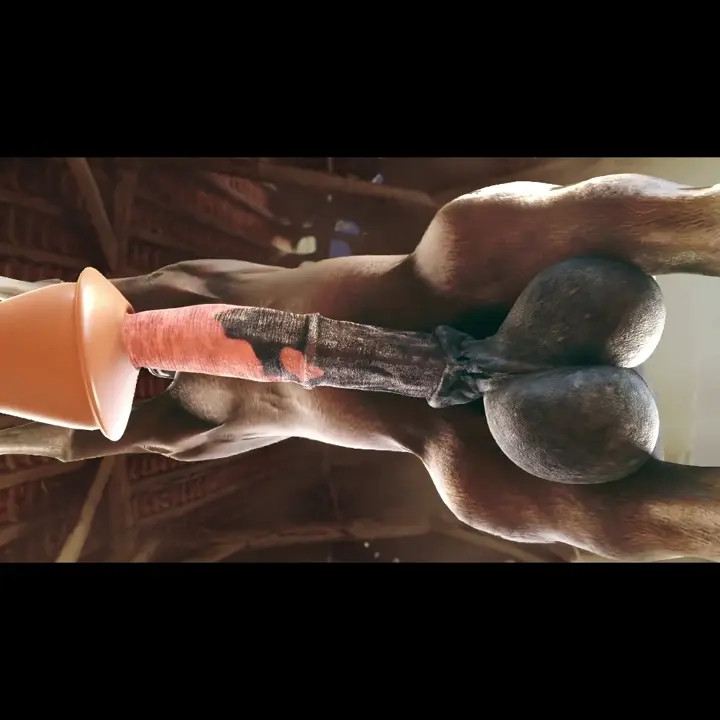 New Hentai: Alpha - Stream & Download HD | rule34tv.com