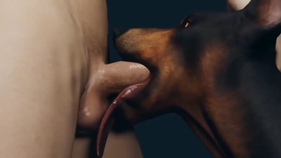 Dog's Favourite Bone - Furjoe