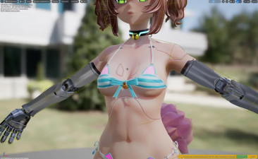 What do you think of Silicas bra purrfection?