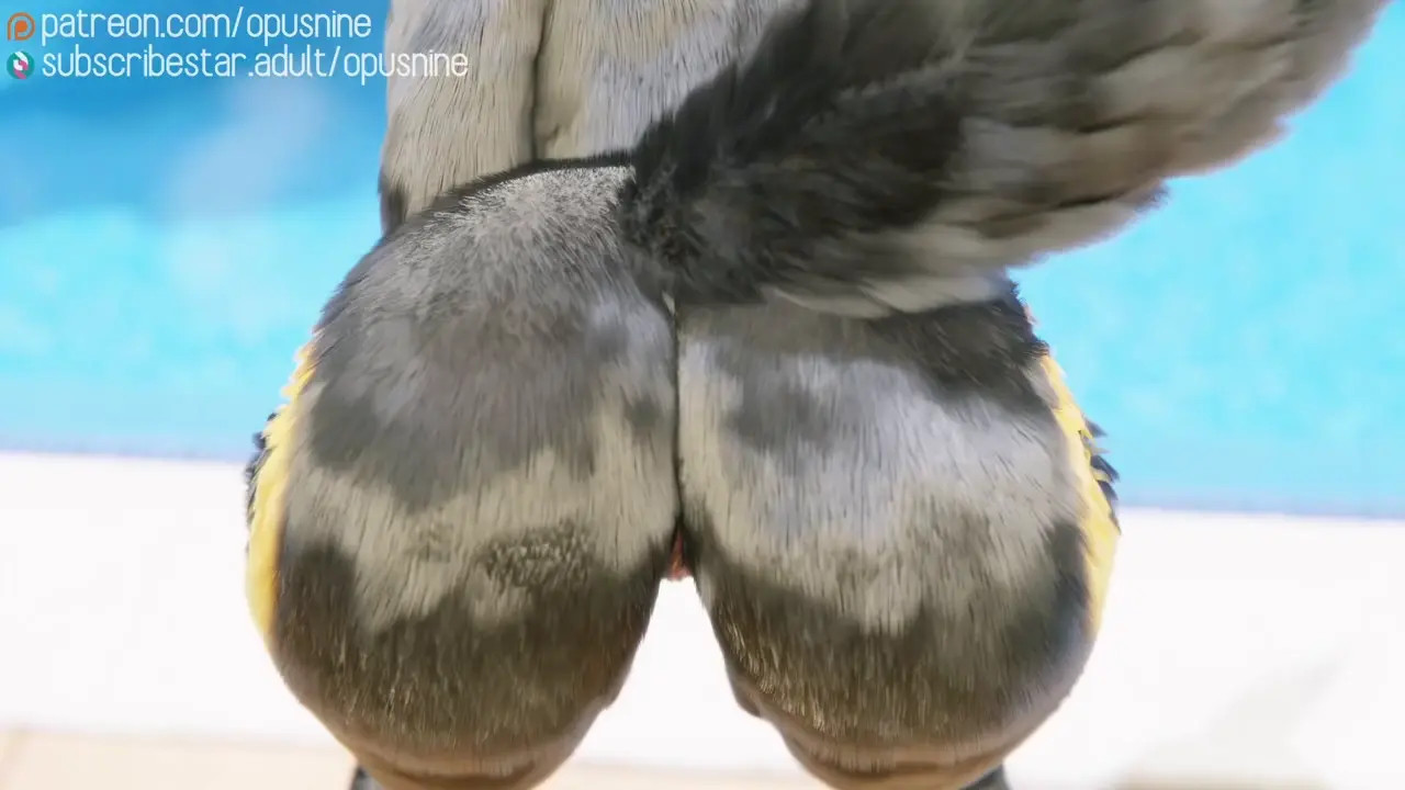 New Hentai: Things you can do with your Umbreon - Stream & Download HD | rule34tv.com